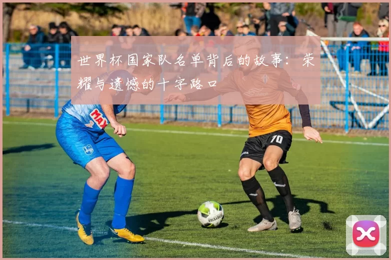 世界杯国家队名单背后的故事：荣耀与遗憾的十字路口