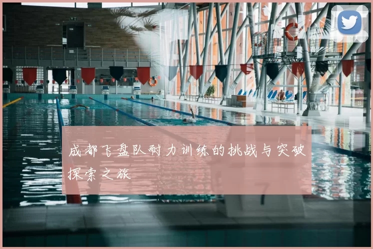 成都飞盘队耐力训练的挑战与突破探索之旅