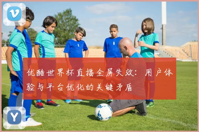 优酷世界杯直播全屏失效：用户体验与平台优化的关键矛盾