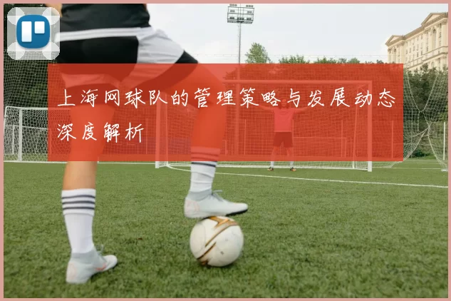 上海网球队的管理策略与发展动态深度解析
