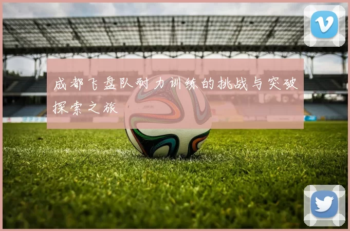 成都飞盘队耐力训练的挑战与突破探索之旅