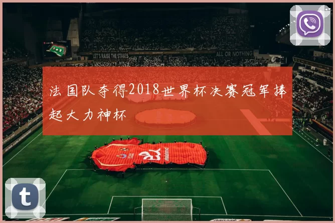 法国队夺得2018世界杯决赛冠军捧起大力神杯