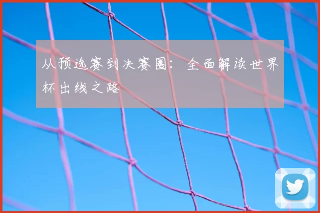从预选赛到决赛圈：全面解读世界杯出线之路