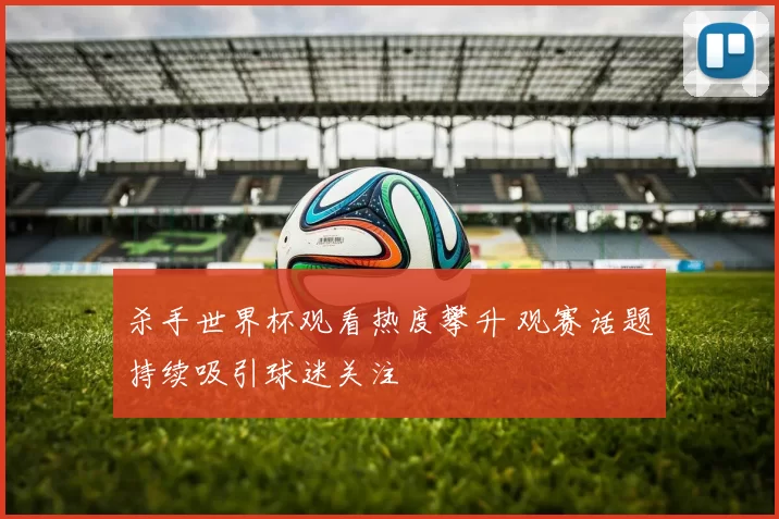 杀手世界杯观看热度攀升 观赛话题持续吸引球迷关注