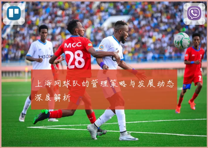 上海网球队的管理策略与发展动态深度解析