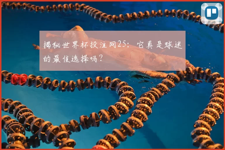 揭秘世界杯投注网25:它真是球迷的最佳选择吗?